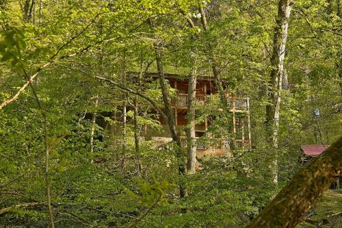 Whispering Waters #208 by Aunt Bug's Cabin Rentals - image 6