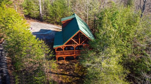 Wow !! What A Cabin #255 by Aunt Bug's Cabin Rentals - image 11
