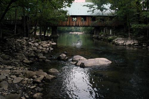 Zen Garden #1523 by Aunt Bug's Cabin Rentals - image 13