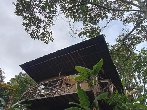 "refugio entre montañas" lalomaecolodge