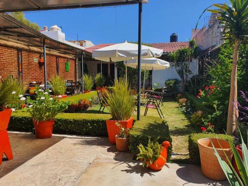 Casa Morenita mía – San Cristobal, SC