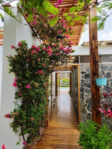 Skats, Alquiler Casa de Campo Asia Cañete (Alquiler Casa de Campo Asia Canete) in Santa Cruz de Flores