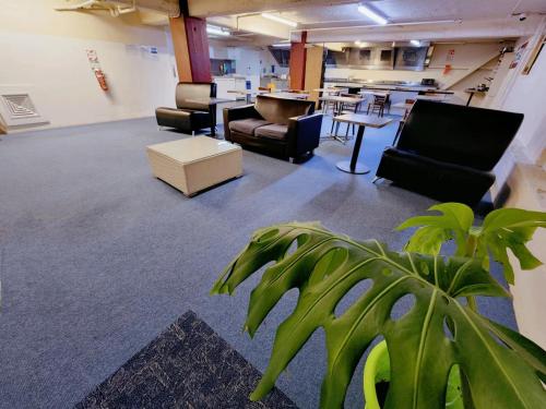 Oceanic Hostel in Auckland