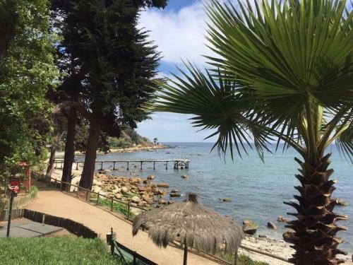 Departamento Bahía Pelícanos, Horcón Departamento Bahía Pelícanos, Horcón