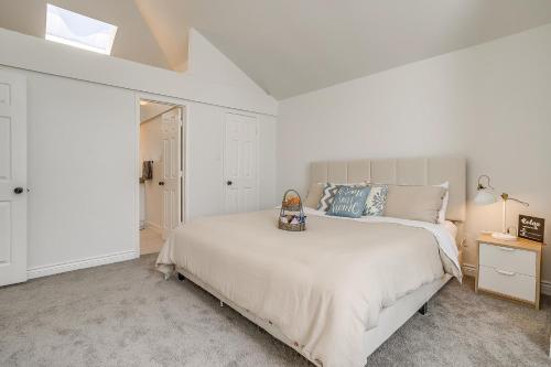Stylish Frisco in Frisco, USA