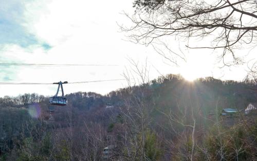 5 Bear Chalet in Gatlinburg, USA