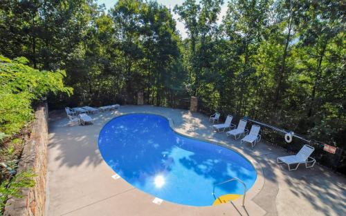 Black Bear Getaway in Gatlinburg, USA
