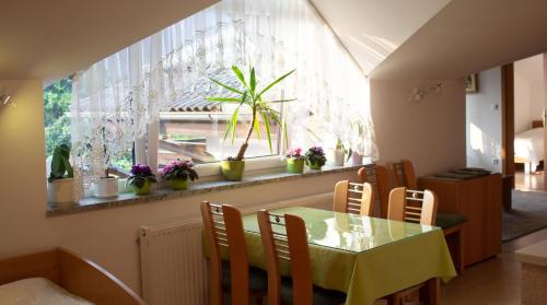 Apartment (4 Adults)