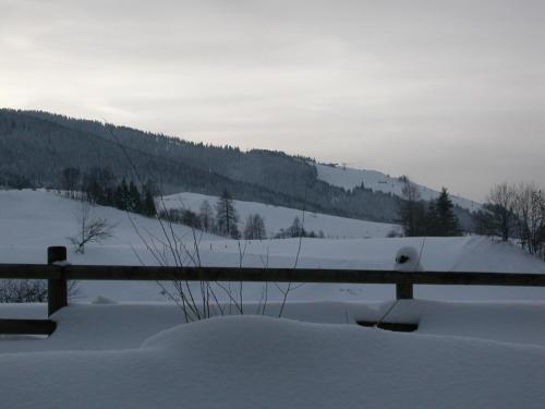 Gourmet-Hotel Grünwald – Leogang, SD