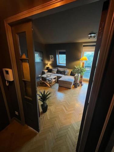 Appartement Cosy Le Chesnay in Le Chesnay