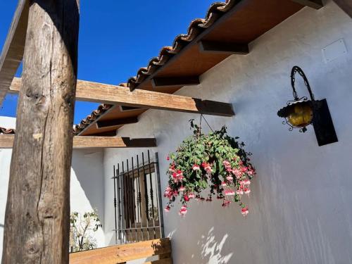 The Zarzamora Canary Little Home 1