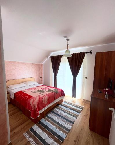 Casa de vacanța Ariana (Casa de vacanta Ariana) in Borsa