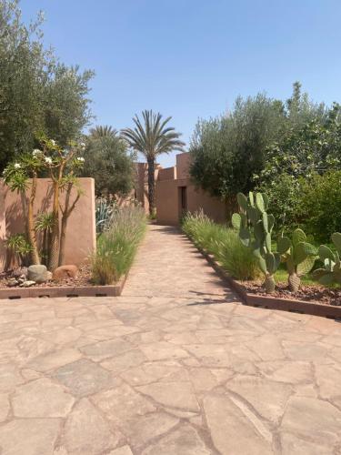 Jardin Sakina - Séjour paisible avec soins bien-être à 35 minutes de Marrakech - image 7