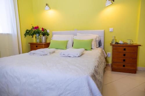 Bela Alexandra Guest House - image 13