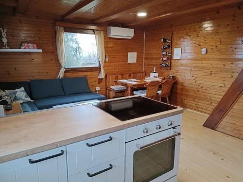 Chalet Panorama in Dobrnic