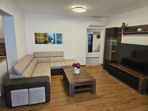 Közös társalgó / TV, Khalli apartman 4 stars with private pool and jacuzzi near Opatija in Rukavac