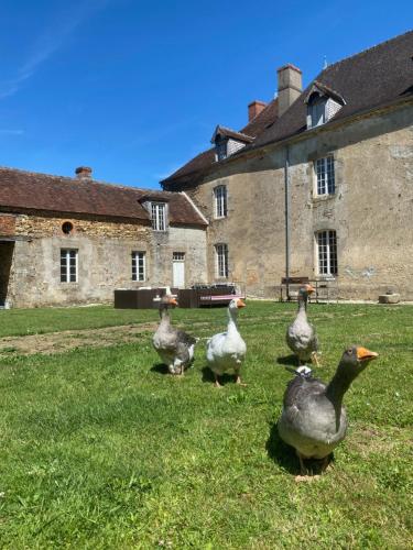 Chateau de Grandsagne in Bonnat