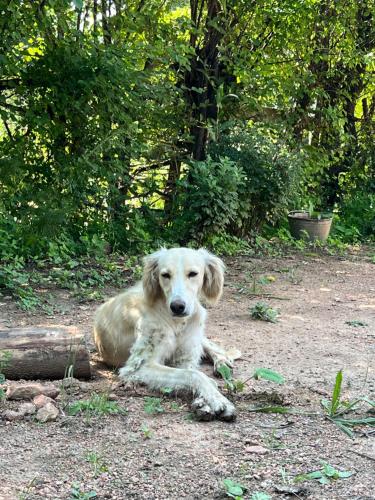 Bakyt guest house in Toktogul