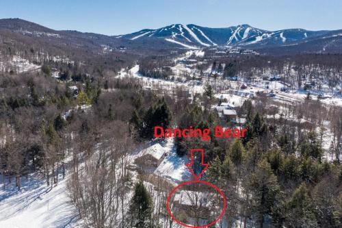 Dancing Bears 8BR 2 Hot Tub 2 Homes Location in Killington, USA