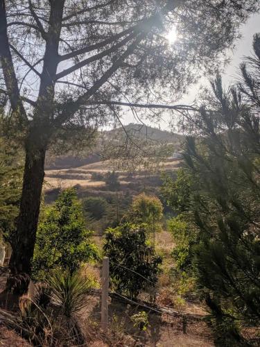 View, Quinta Shangri-La in Silves