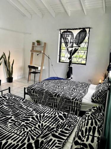 Breezy Lucian Bliss in โครินท์