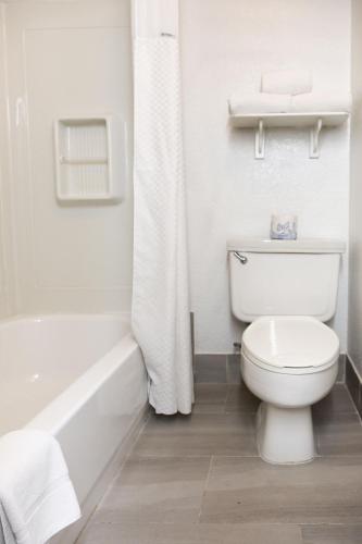 Baymont by Wyndham Fort Stockton - image 2