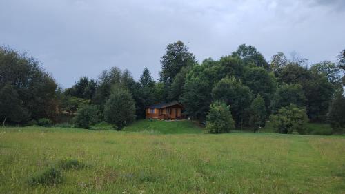 Viesnīcas āriene, Sasinowe Domki Nad Jeziorem in Wopity