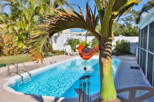 Seminole Comfort Private Pool Home 3BD 2BA in , USA