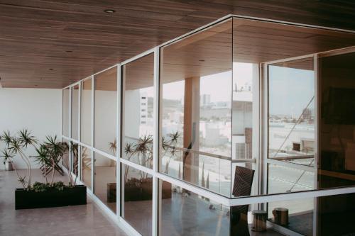 Millenium Plaza & Suites, San Luis Potosí (Foto 6)
