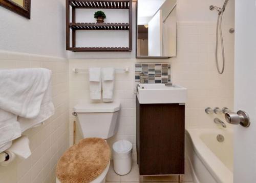 Sea Rocket 12 Ground Floor Beachfront Getaway in in St Pete Beach, USA