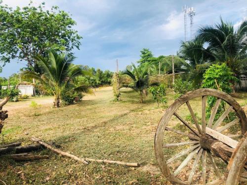 Guesthouse Maya Coconut Garden Guesthouse Maya Coconut Garden