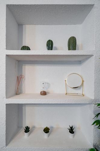 La Plaza Mayor de Madrid - image 13