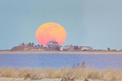 Outermost Compound w 1,750 Private Beach, Reduced in Edgartown, Vereinigte Staaten von Amerika