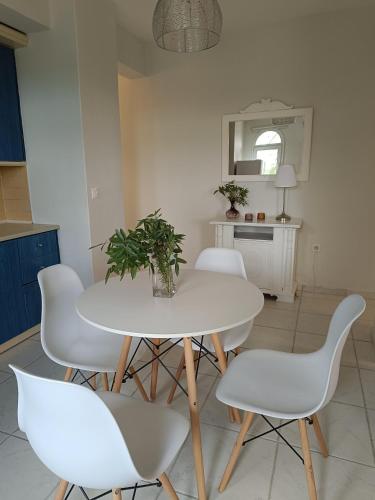 Olive & Garden Olive & Garden