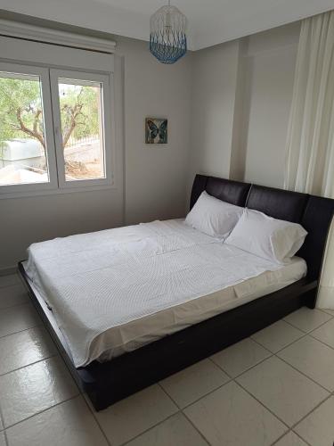 Olive & Garden Olive & Garden