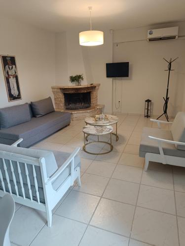 Olive & Garden Olive & Garden