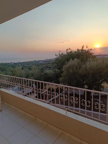 Olive & Garden Olive & Garden