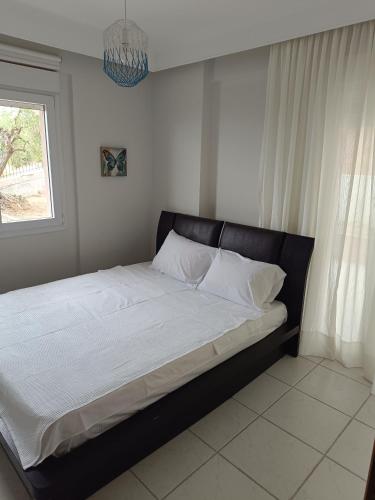 Olive & Garden Olive & Garden