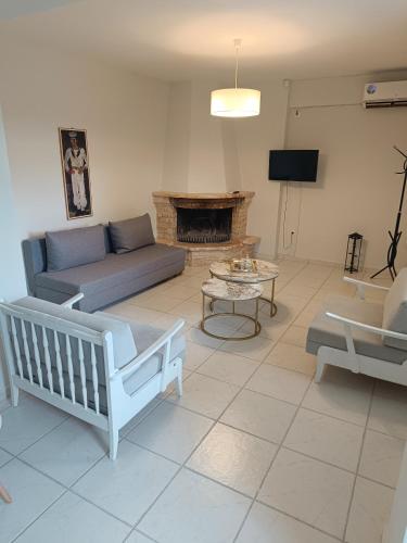 Olive & Garden Olive & Garden