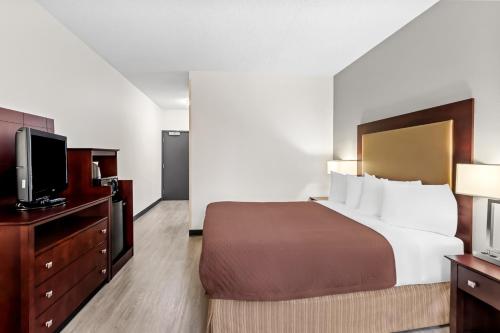 Queen Room - Disability Access image 3