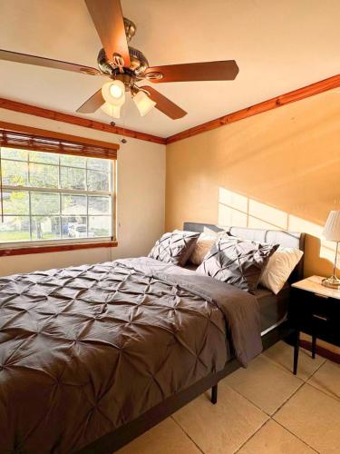 New decorate house w 4 bedrooms in Lutz, USA