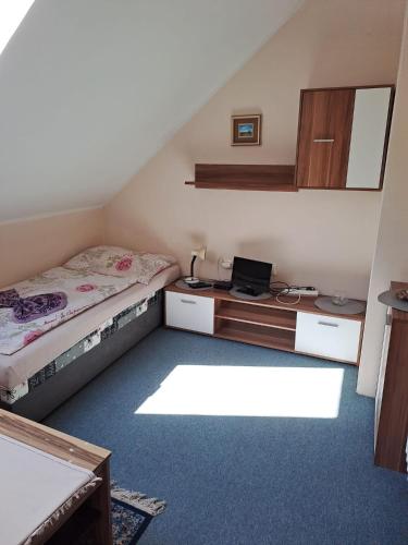 1 twin bed, 1 sofa bed