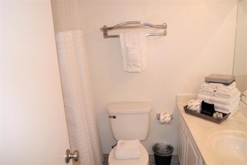 225 Fully Furnished, WiFi Included 225 Fully Furnished, WiFi Included