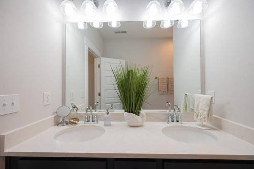 The Sente, New Home, Two Miles to Downtown Charlotte in Charlotte, USA