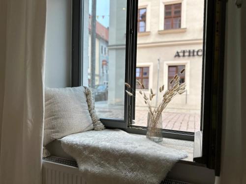 Super zentral mit Parkplatz, Fenster verspiegelt Super zentral mit Parkplatz, Fenster verspiegelt