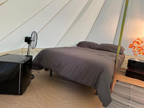 2 double beds
