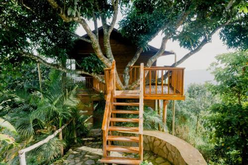 Hostal Sierra Minca in Мінка