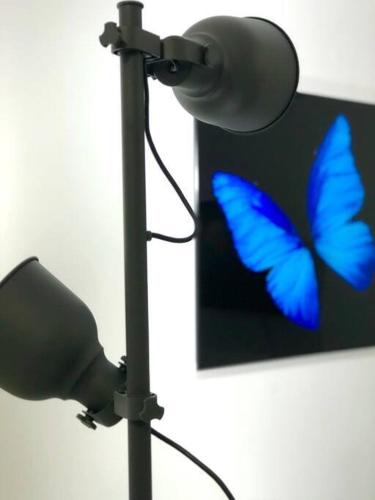 GroveO6 10 minutes from the Beach GroveO6 10 minutes from the Beach