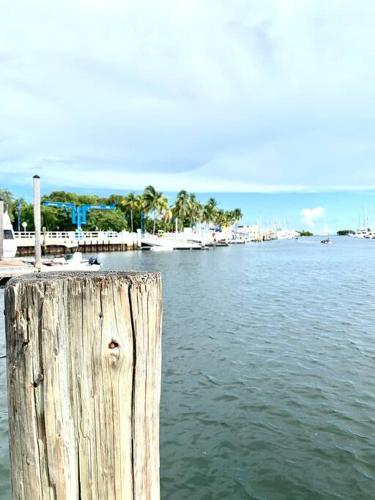 GroveO6 10 minutes from the Beach GroveO6 10 minutes from the Beach