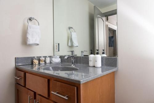 Stunning 2 Br Loft Smack In The Heart Of Downtown in Roanoke, USA